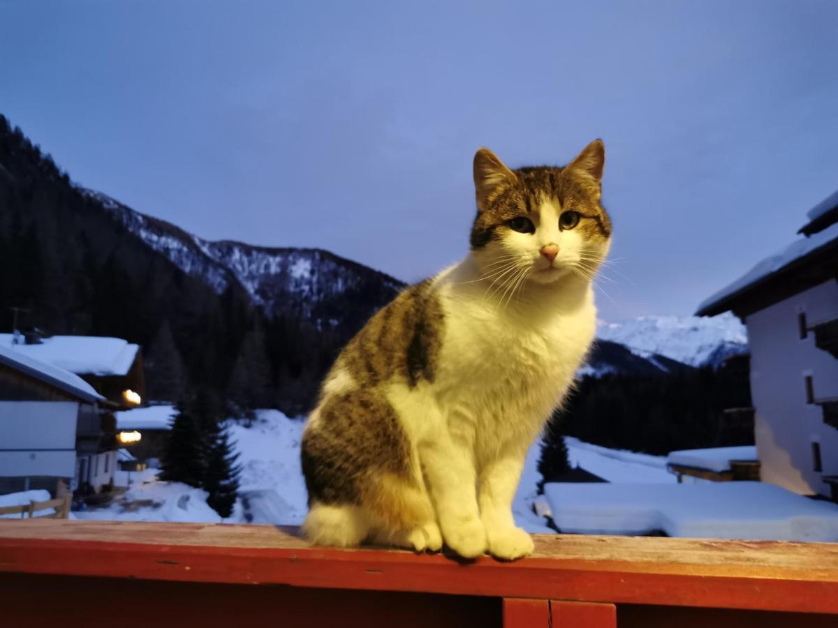 Landhaus Taurer Kals-am Großglockner المظهر الخارجي الصورة