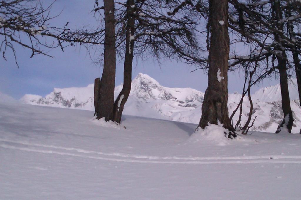 Landhaus Taurer Kals-am Großglockner المظهر الخارجي الصورة